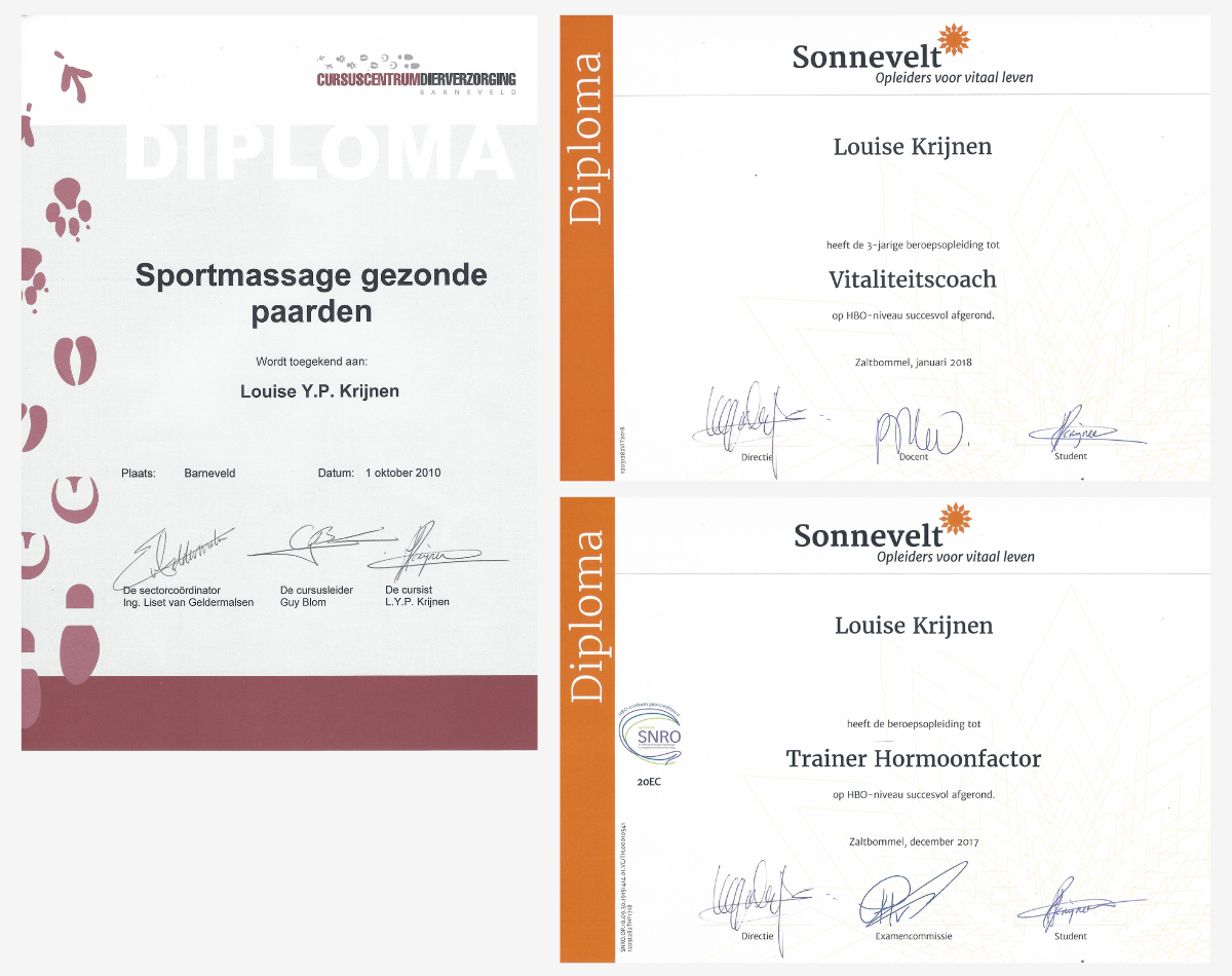 Opleidingen en diploma's van Louise Krijnen